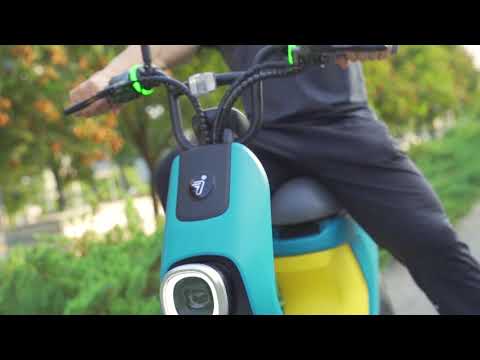 Segway eMoped C80